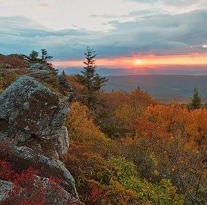 Meet your Posher, Scott